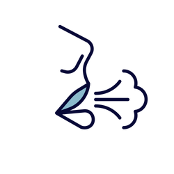 Nasal Congestion due to a cold