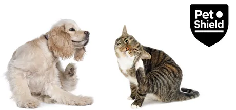 ?? Pet Shield: Your Trusted Partner for Flea and Worm Protection