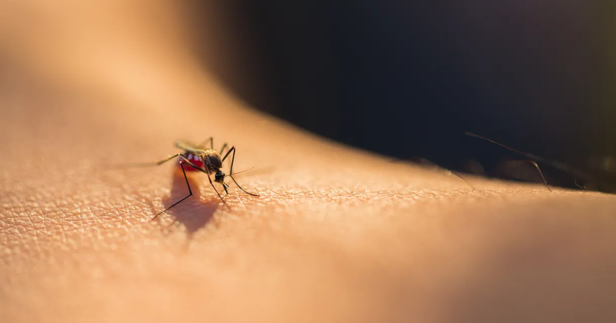 Cellulitis From an Insect Bite: How to Spot It & What to Do
