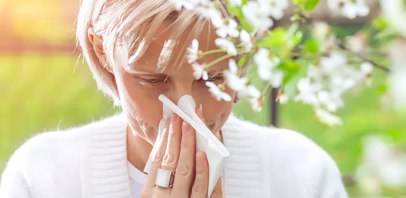 Hayfever Symptoms and Treatments