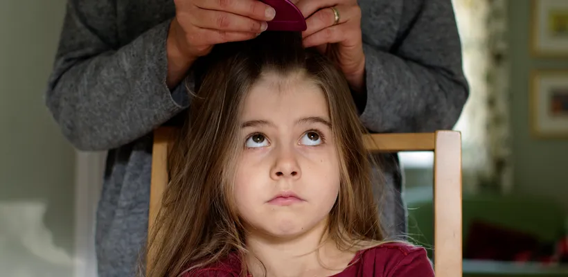 How to Get Ahead of Head Lice