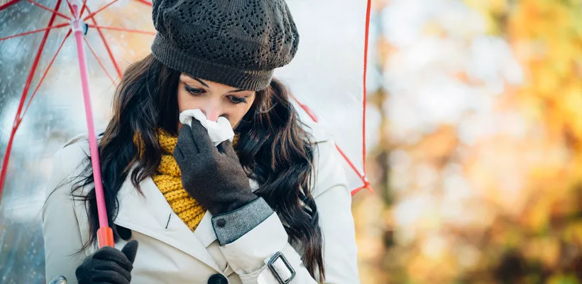 Hayfever on sale in winter