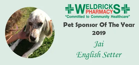 Pet Sponsor 2019: Jai's Story