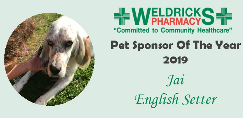 Pet Sponsor 2019: Jai's Story