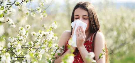 Alleviate your Hayfever: A Guide to Hayfever Tablets