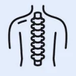 Musculoskeletal icon