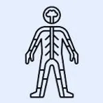 Nervous system & sense organs icon