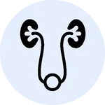 Genitourinary icon