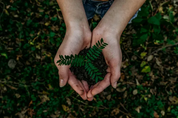 greener environment