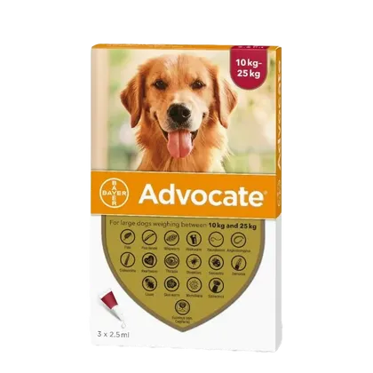 Advocate for Large Dogs 10-25kg Pack of 6