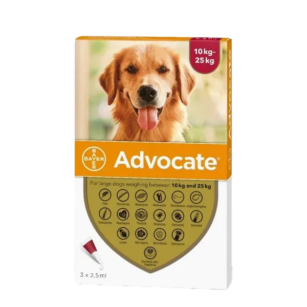 Advocate for Large Dogs 10-25kg Pack of 6