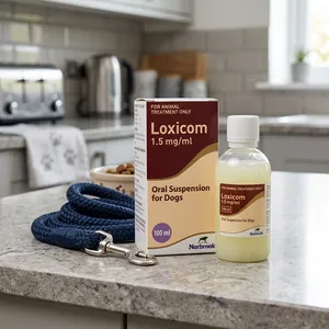 Loxicom Oral Suspension for Dogs 1.5mg/ml 100ml
