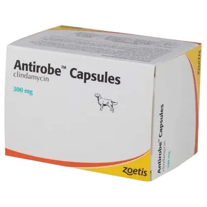 Antirobe 300mg Capsule