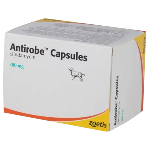 Antirobe 300mg Capsule