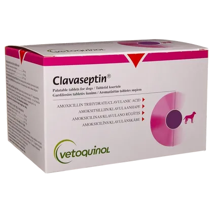 Clavaseptin Palatable 500mg Tablet