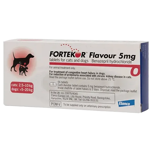 Fortekor 5mg 1 tab (Benazepril)