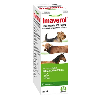 Imaverol Solution 100ml