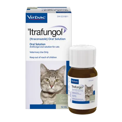 Itrafungol 52ml