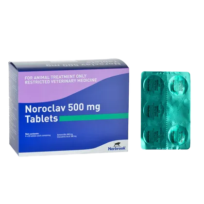 Noroclav 500mg tablet