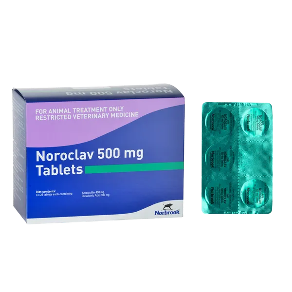 Noroclav 500mg 1 tablet