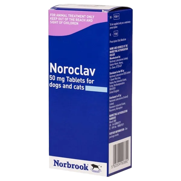 Noroclav Tablet 50mg