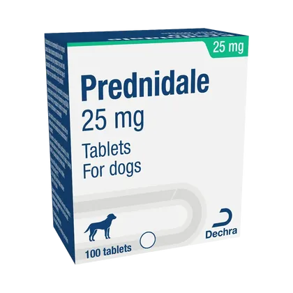 Prednidale 25mg Tablet (Prednisolone)