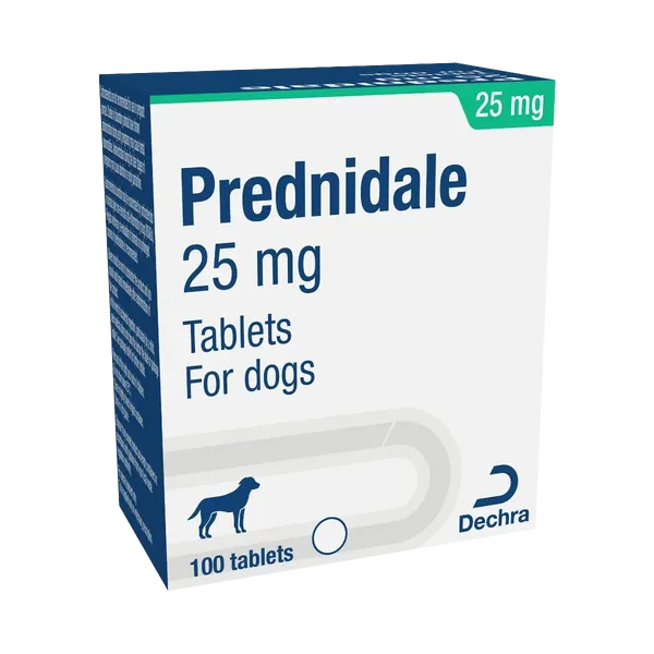 Prednidale 25mg tablet (Prednisolone)