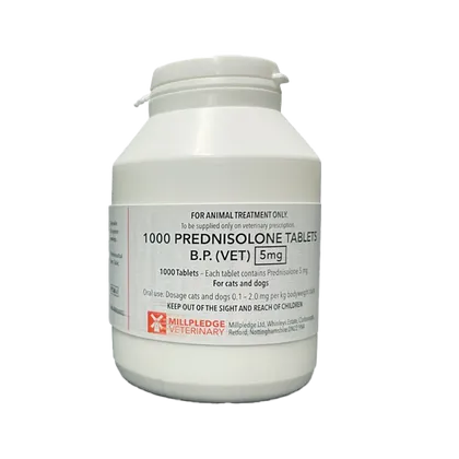 Prednisolone B.P. 5mg Tablets (Vet) for Cats & Dogs