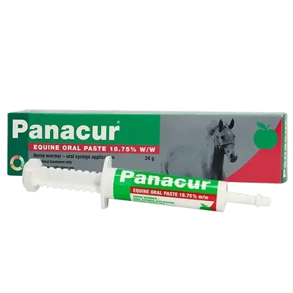 Panacur Equine Paste 24g Syringe