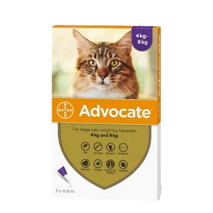Advocate Large Cat 4 - 8kg Pack of 6 Pipettes