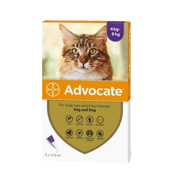Advocate Large Cat 4 - 8kg Pack of 6 Pipettes