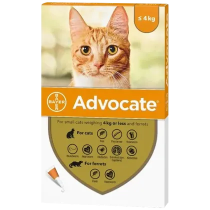 Advocate Small Cat under 4kg Pack of 6 Pipettes