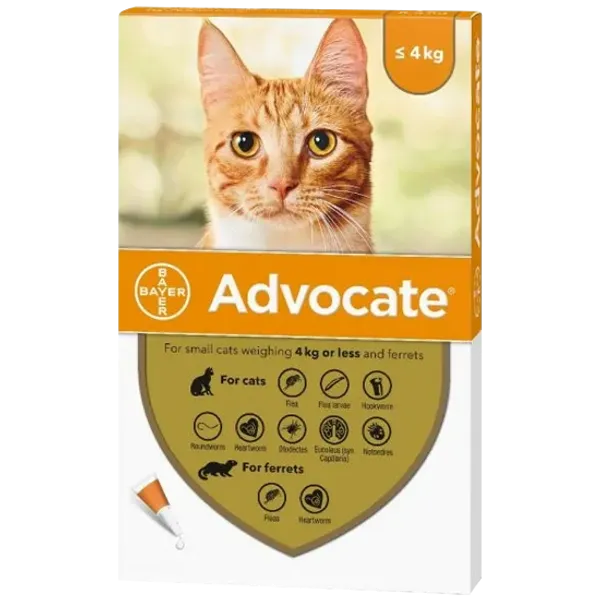 Advocate Small Cat under 4kg Pack of 6 Pipettes
