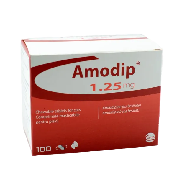 Amodip 1.25mg Chewable Tablet