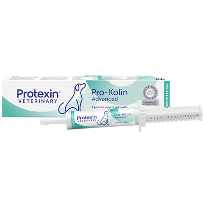 Pro-Kolin Advanced Gastrointestinal Supplement for Dogs 60ml