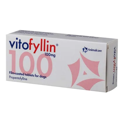 Vitofyllin 100mg Tablet