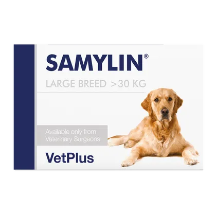 Samylin Large Breed Tablets Pack of 30