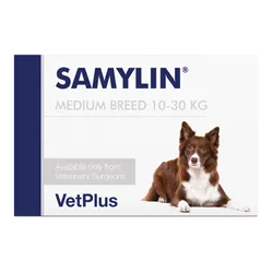 Samylin Large Breed Tablets Pack of 30