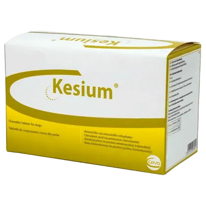 Kesium 500/125mg Chewable Tablet