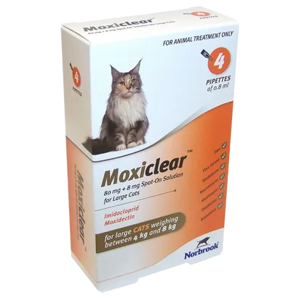 Moxiclear Large Cat 4 - 8kg 0.8ml Pipettes Pack of 4