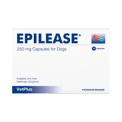 Epilease Capsule 250mg (Potassium Bromide)