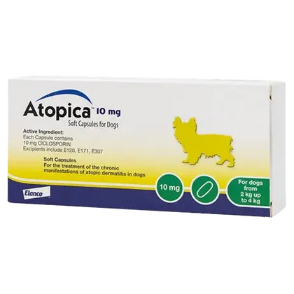 Atopica Capsule 10mg