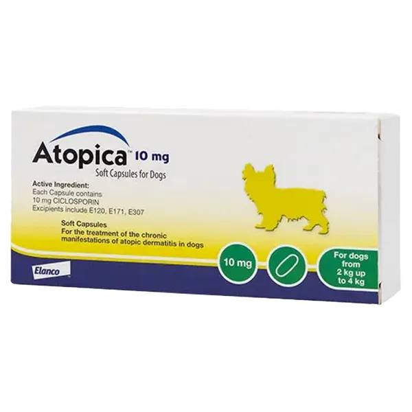 Atopica Capsule 10mg