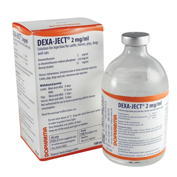 Dexa-ject (Dexamethasone) 2mg/ml Injection 100ml