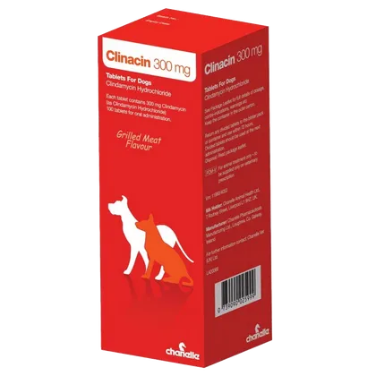 Clinacin Tablet 300mg