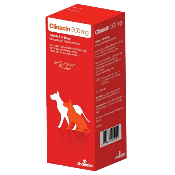 Clinacin Tablet 300mg