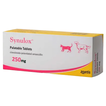 Synulox Tablet 250mg