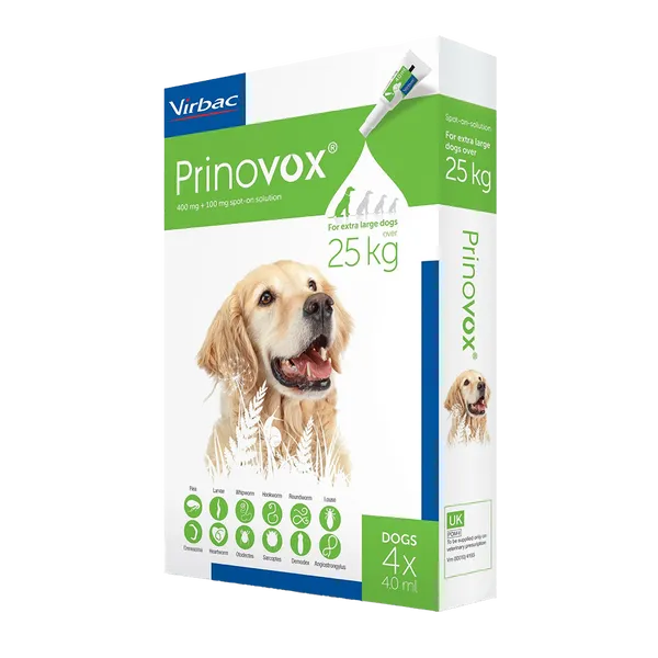 Prinovox Spot-on XL >25kg 4ml Pack of 4