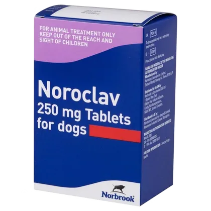 Noroclav Tablet 250mg