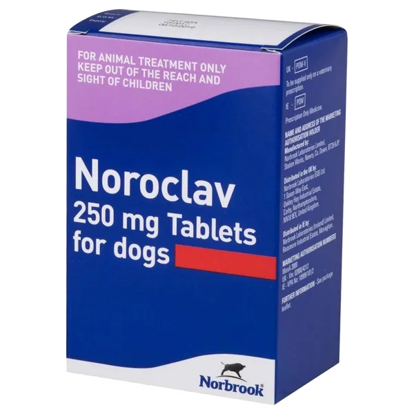 Noroclav Tablet 250mg